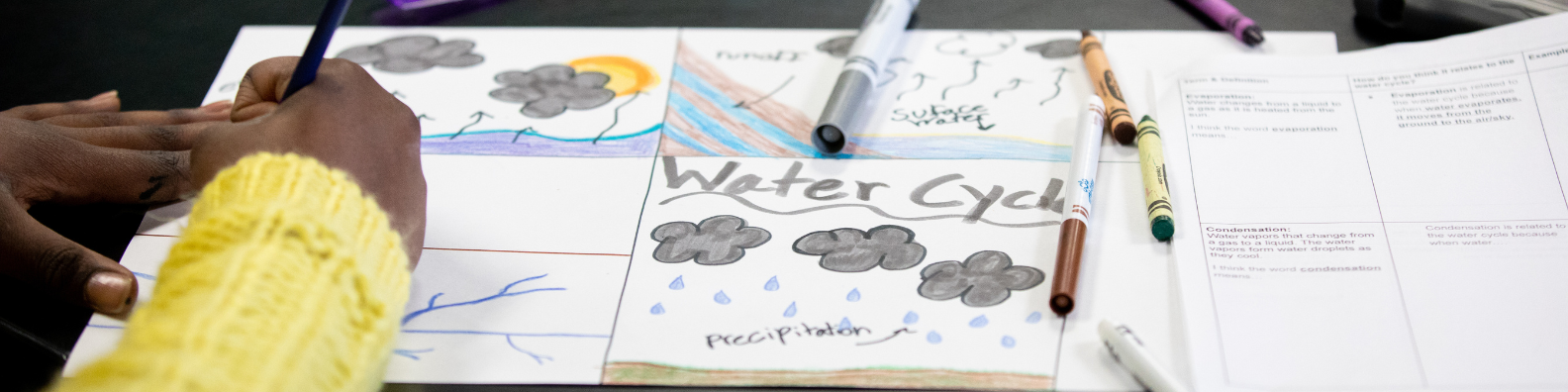Science workbook